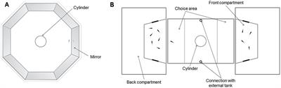 Personality and Cognition: <mark class="highlighted">Sociability</mark> Negatively Predicts Shoal Size Discrimination Performance in Guppies